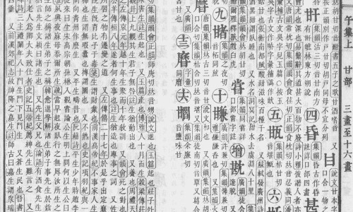 血液性缺氧-【缺氧血症怎么治疗方法】血液型缺氧使用药剂有哪些 - 血液型缺氧使用药剂网