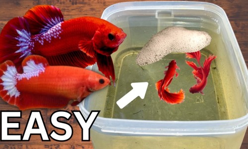 血液性缺氧血氧饱和度-【缺氧血症怎么治疗方法】血液型缺氧使用药剂有哪些 - 血液型缺氧使用药剂网